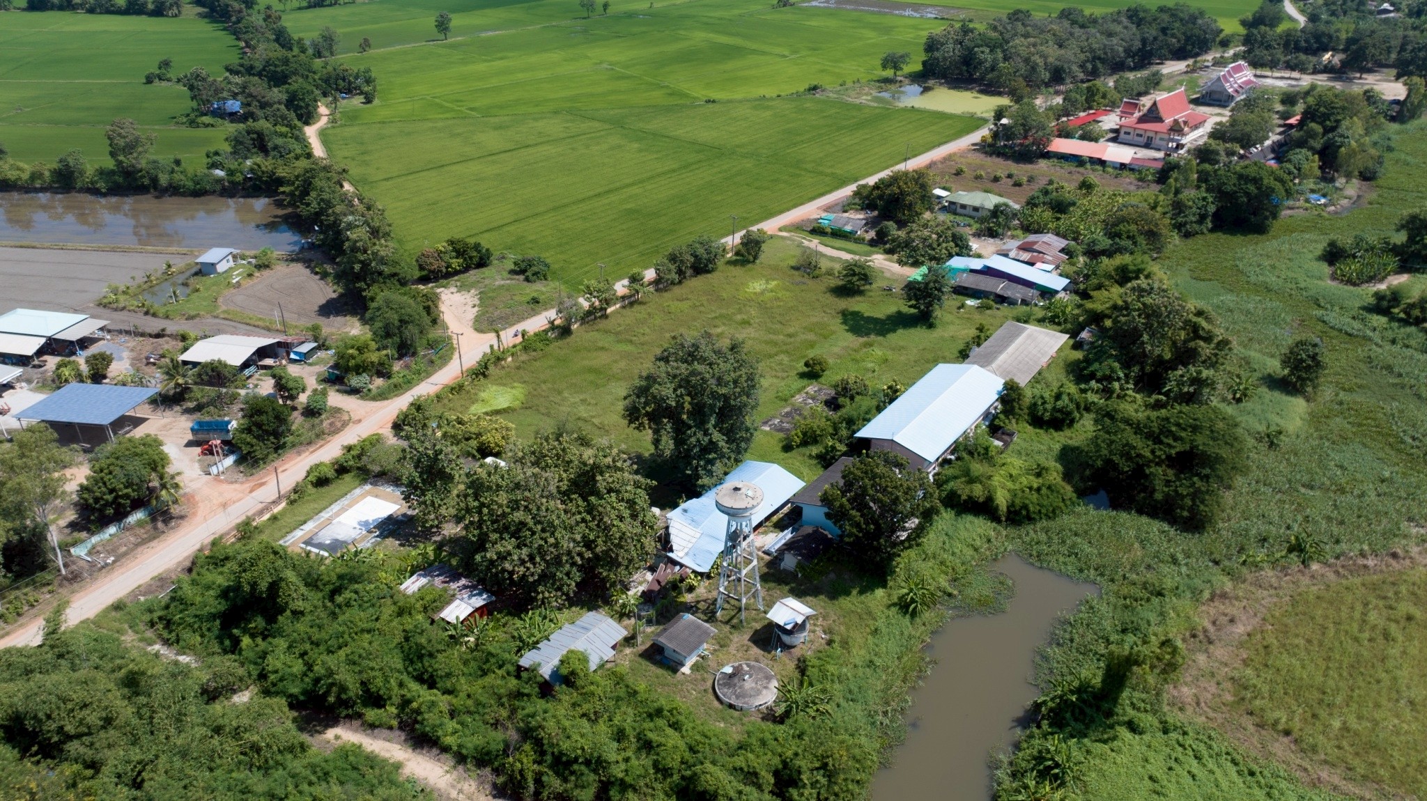 ภาพกิจกรรมเพิ่มเติม